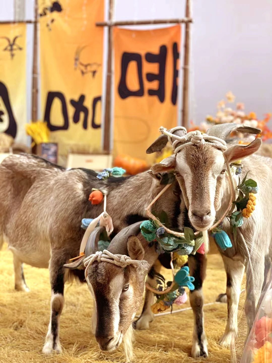 6萬(wàn)人次入場(chǎng)，意向成交額32億元！第20屆&ldquo;織交會(huì)&rdquo;完美收官