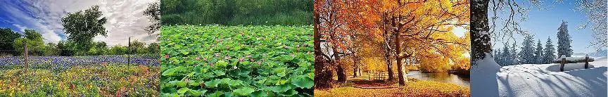 二十四節(jié)氣元素在服飾品上的創(chuàng)新與應(yīng)用