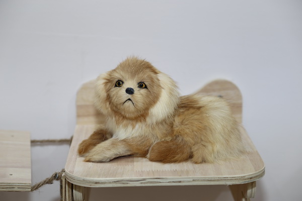 眾地家紡發(fā)力寵物用品， 倍受日商青睞