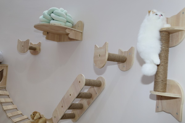 眾地家紡發(fā)力寵物用品， 倍受日商青睞