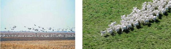 &ldquo;善議：探索前沿&rdquo;可持續(xù)時(shí)尚論壇