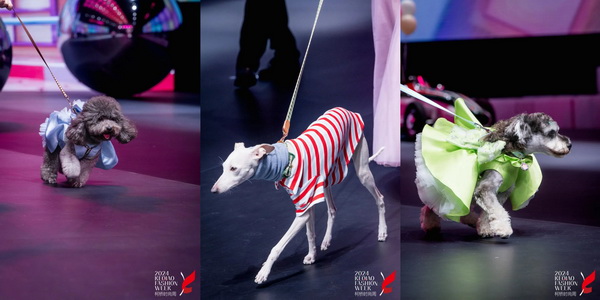 柯橋時尚綻放高光！20場品牌發(fā)布會傳遞原創(chuàng)設(shè)計之美