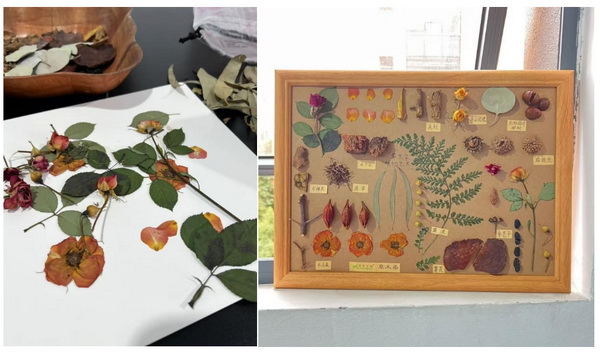 自然印記&mdash;染夏工坊課程招生！