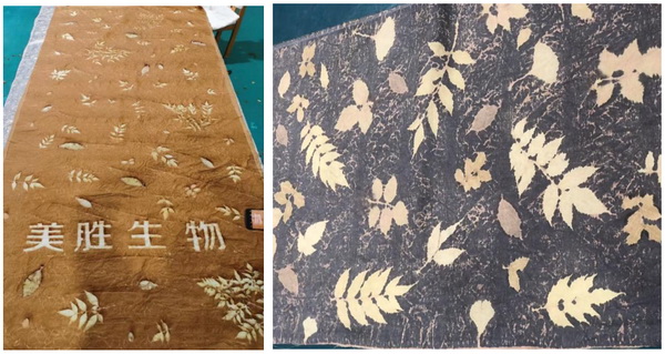 自然印記&mdash;染夏工坊課程招生！