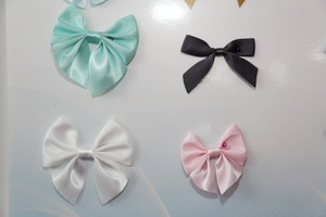  中華紡織網(wǎng)面輔料展區(qū)成功舉辦推介會(huì)，新材料、新工藝 助力興城泳裝產(chǎn)業(yè)升級(jí)