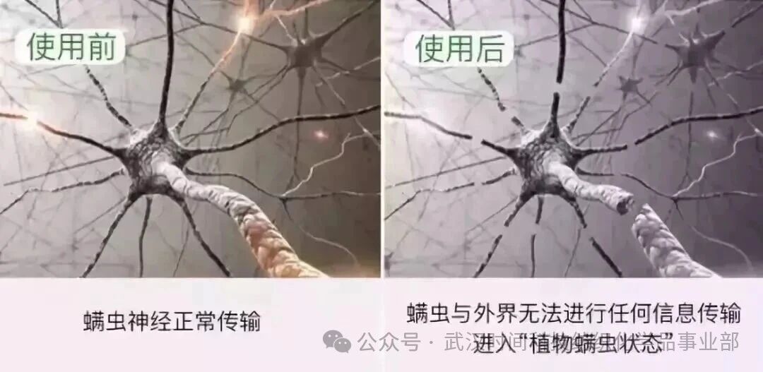  防螨！已成為健康的&ldquo;新剛需&rdquo;--武漢時間科技推出紡織品防螨整理劑喜化&reg;植螨零