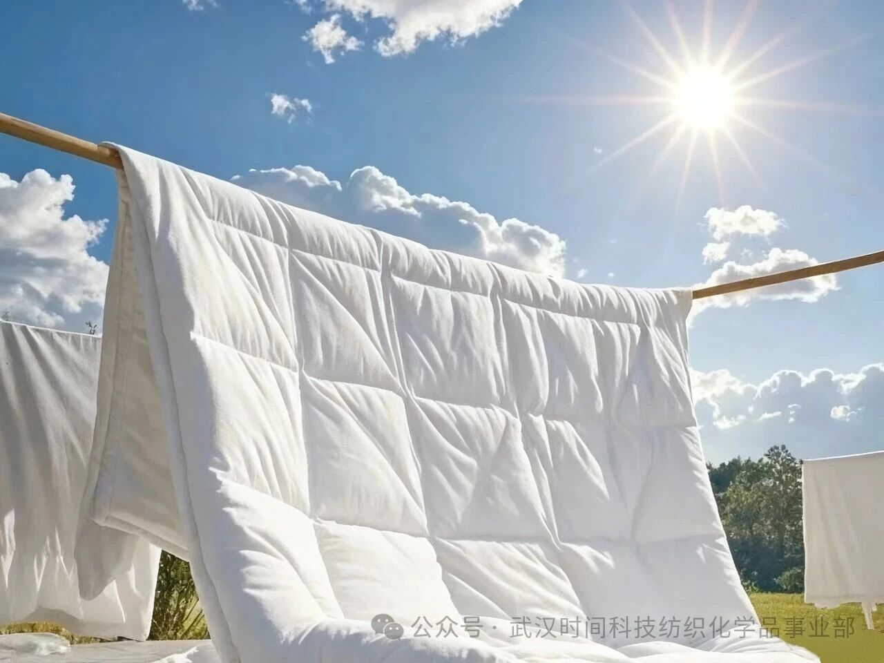 防螨！已成為健康的&ldquo;新剛需&rdquo;--武漢時間科技推出紡織品防螨整理劑喜化&reg;植螨零