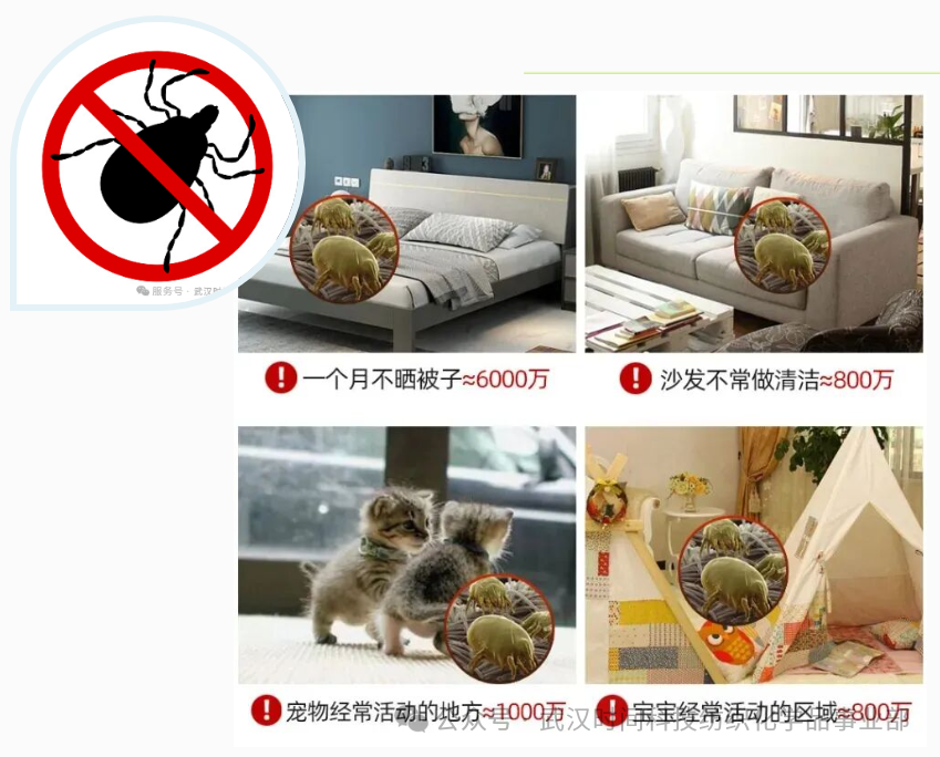 防螨！已成為健康的&ldquo;新剛需&rdquo;--武漢時間科技推出紡織品防螨整理劑喜化&reg;植螨零
